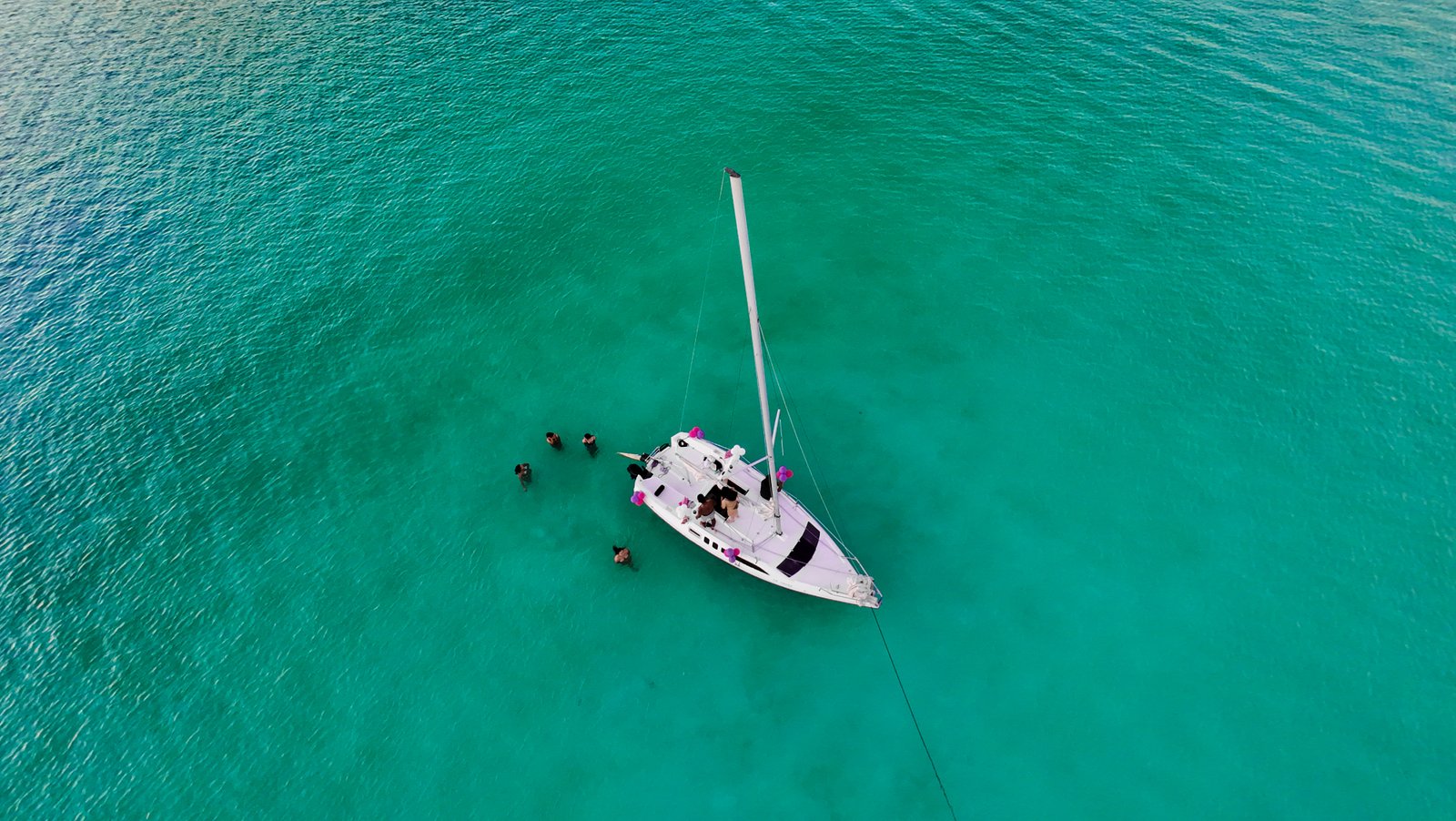 Velero al viento